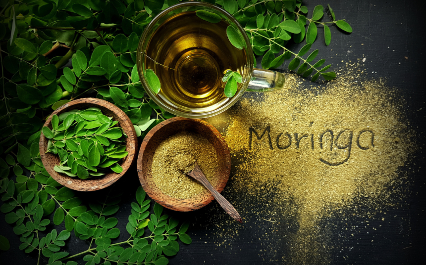 moringa